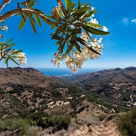 Villa View Mountain Temenia