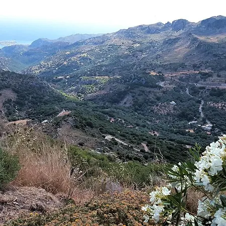 View Mountain *